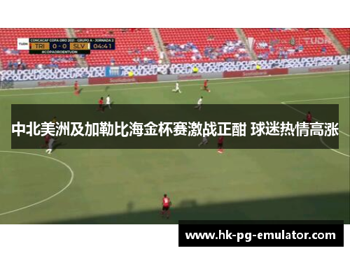 中北美洲及加勒比海金杯赛激战正酣 球迷热情高涨